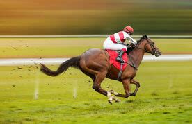 le nouveau journal de jackturf|Paris hippiques : les bookmakers pour parier en ligne .